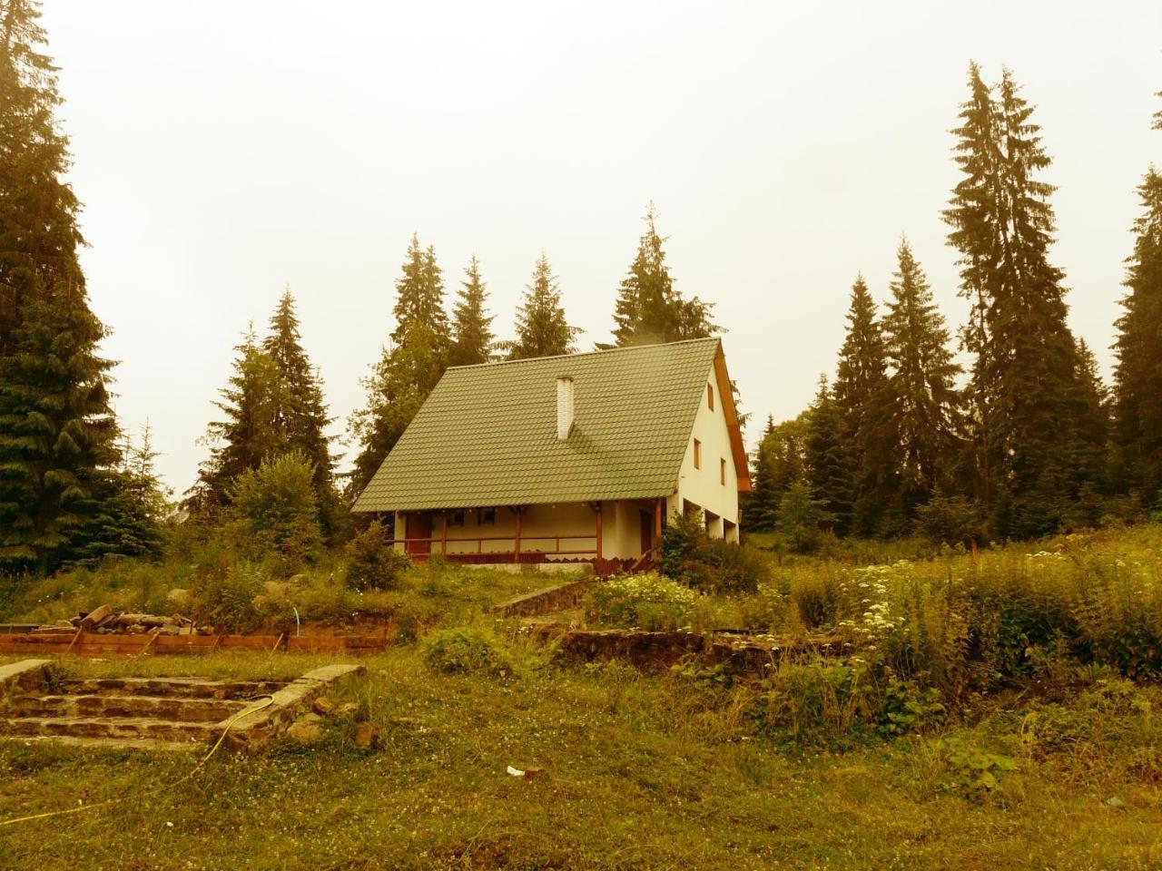 Беркут Bukovel Bagian luar foto