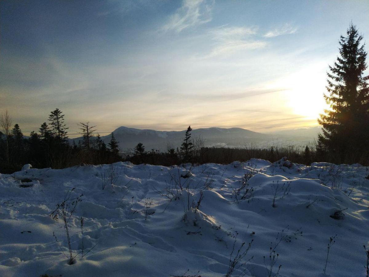 Беркут Bukovel Bagian luar foto